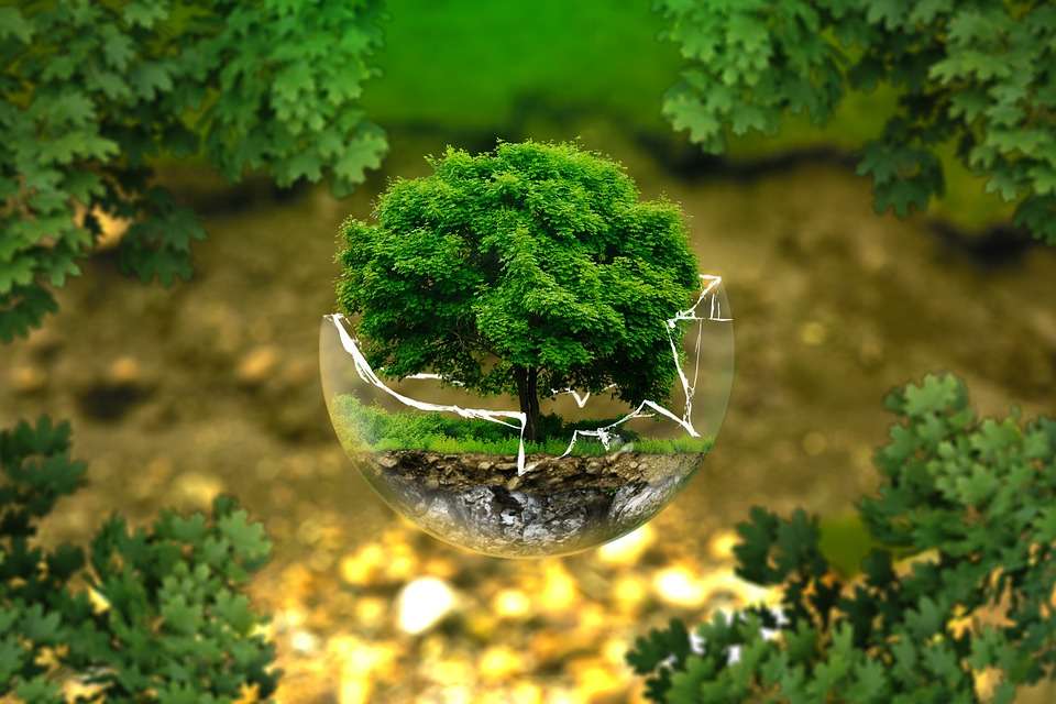 COVID-19, Sustainability, Resilience and Sustainable Development Goals