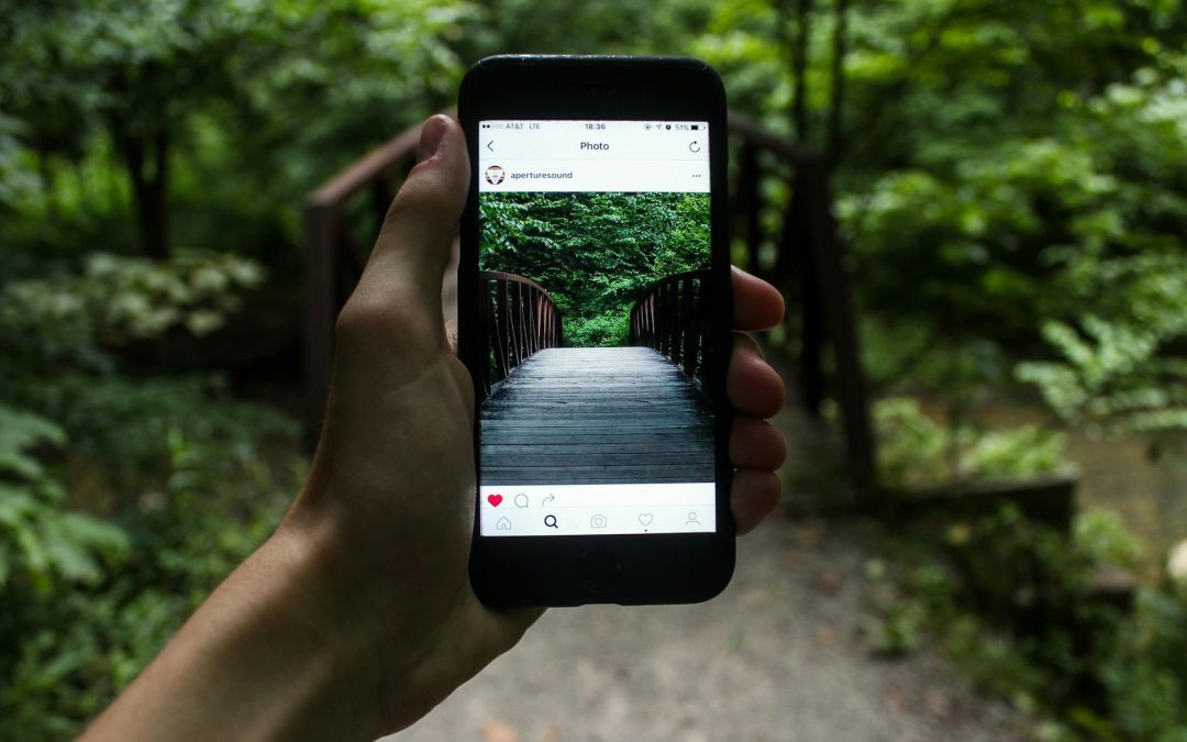 Regenerative Tourism App