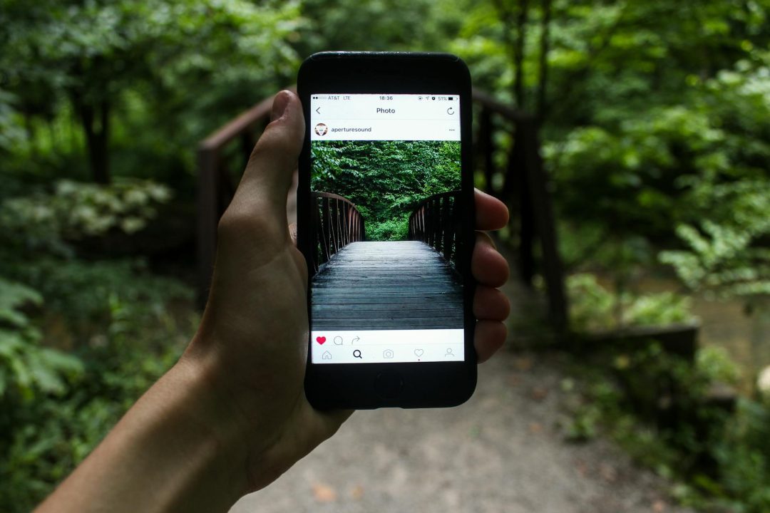 Regenerative Tourism App