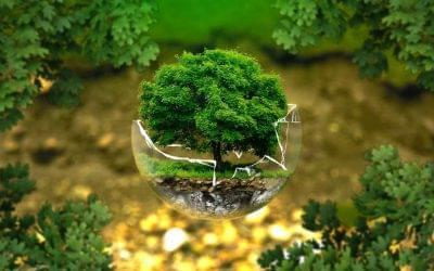 COVID-19, Sustainability, Resilience and Sustainable Development Goals