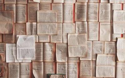 Call for Papers: Journal of Sustainability and Resilience
