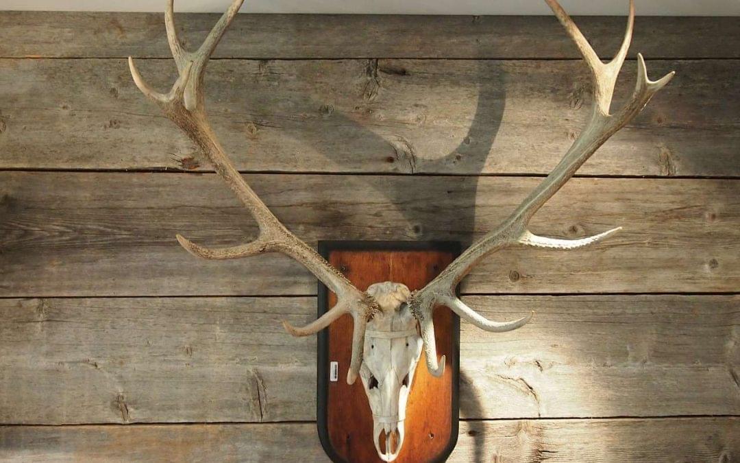 International tourist hunting in Africa