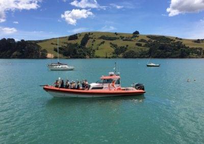 Ecoseaker Dolphin Swimming & Harbour Adventure Cruises